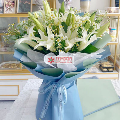 红河8支白色多头百合洋甘菊，互倾的思念