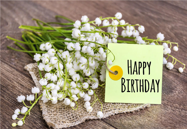 红河好朋友过生日，生日祝福语怎么说？